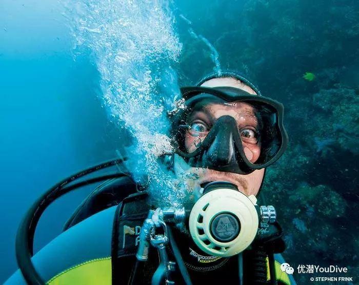 动物帮帮忙保卫家园